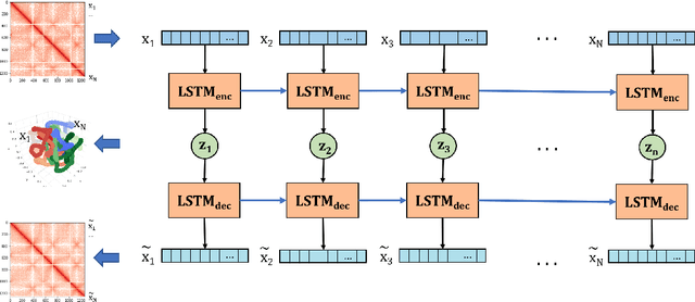 Figure 1 for Inference of the three-dimensional chromatin structure and its temporal behavior