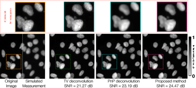 Figure 2 for Learning-based Image Reconstruction via Parallel Proximal Algorithm