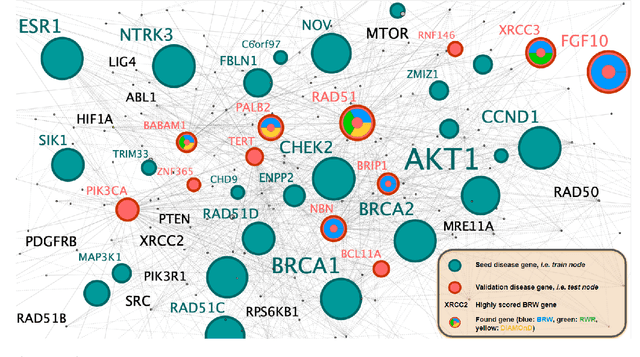 Figure 1 for Biological Random Walks: integrating heterogeneous data in disease gene prioritization