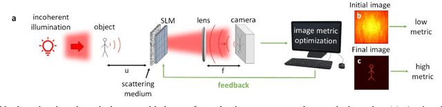 Figure 1 for Guidestar-free image-guided wavefront-shaping