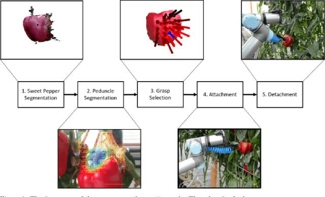 Figure 3 for A Sweet Pepper Harvesting Robot for Protected Cropping Environments