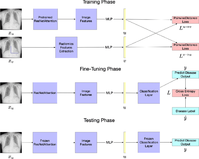 Figure 1 for Pneumonia Detection on Chest X-ray using Radiomic Features and Contrastive Learning