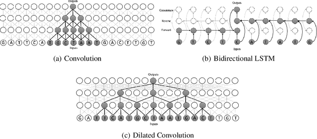 Figure 1 for Dilated Convolutions for Modeling Long-Distance Genomic Dependencies