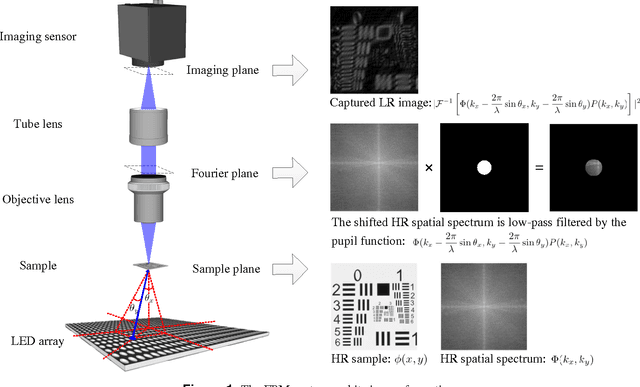 Figure 1 for Fourier ptychographic reconstruction using Poisson maximum likelihood and truncated Wirtinger gradient
