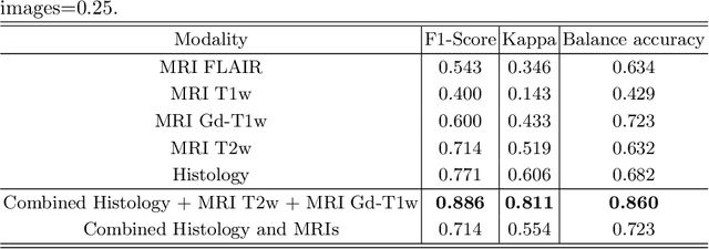 Figure 4 for Glioma Classification Using Multimodal Radiology and Histology Data