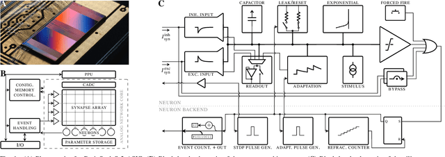 Figure 1 for An accurate and flexible analog emulation of AdEx neuron dynamics in silicon