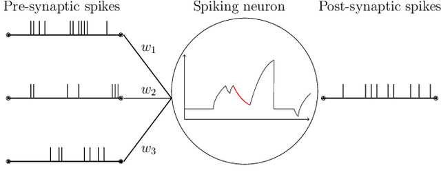 Figure 1 for Ensembles of Spiking Neural Networks