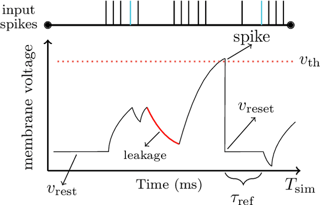 Figure 2 for Ensembles of Spiking Neural Networks