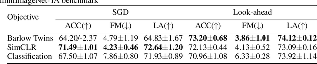 Figure 4 for DualNet: Continual Learning, Fast and Slow