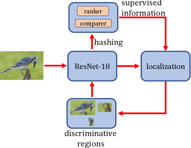 Figure 4 for Simultaneous Region Localization and Hash Coding for Fine-grained Image Retrieval
