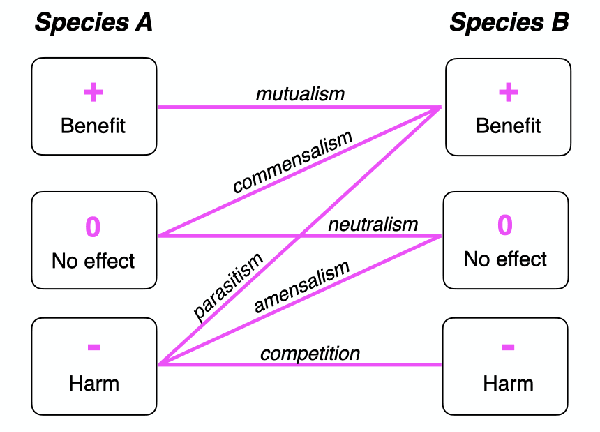 Figure 1 for Future mobility as a bio-inspired collaborative system