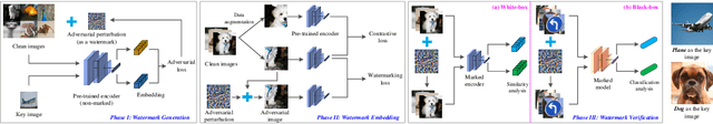 Figure 1 for AWEncoder: Adversarial Watermarking Pre-trained Encoders in Contrastive Learning