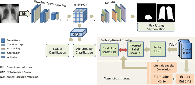 Figure 1 for Robust Classification from Noisy Labels: Integrating Additional Knowledge for Chest Radiography Abnormality Assessment