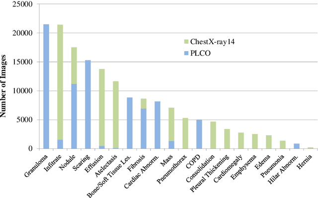 Figure 3 for Robust Classification from Noisy Labels: Integrating Additional Knowledge for Chest Radiography Abnormality Assessment