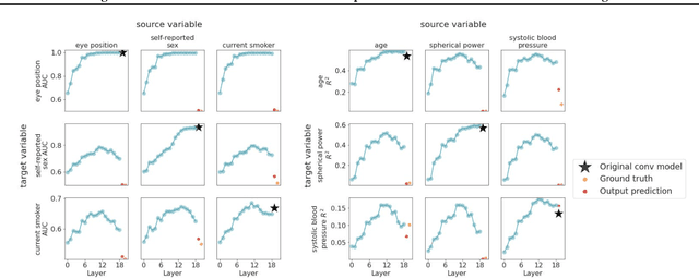 Figure 1 for Using a Cross-Task Grid of Linear Probes to Interpret CNN Model Predictions On Retinal Images