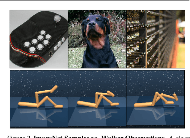 Figure 2 for Pretraining & Reinforcement Learning: Sharpening the Axe Before Cutting the Tree