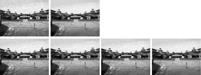 Figure 4 for Stochastic Primal-Dual Hybrid Gradient Algorithm with Arbitrary Sampling and Imaging Applications