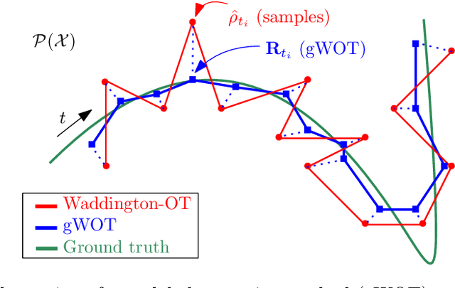 Figure 4 for Towards a mathematical theory of trajectory inference