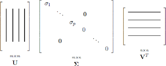 Figure 1 for Singular Value Decomposition of Images from Scanned Photographic Plates