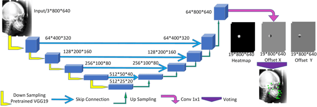 Figure 3 for Miss the Point: Targeted Adversarial Attack on Multiple Landmark Detection