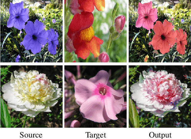 Figure 1 for Hue-Net: Intensity-based Image-to-Image Translation with Differentiable Histogram Loss Functions