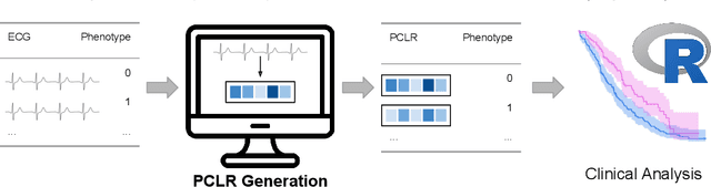 Figure 1 for Patient Contrastive Learning: a Performant, Expressive, and Practical Approach to ECG Modeling