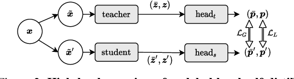 Figure 2 for Global-Local Self-Distillation for Visual Representation Learning