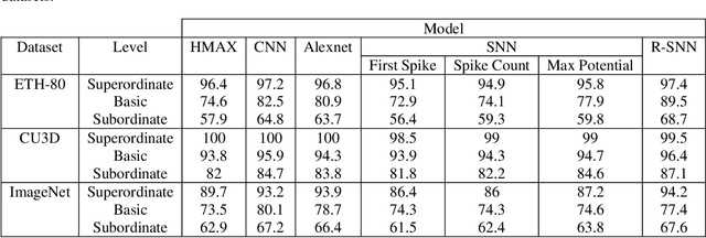 Figure 2 for Enhancing efficiency of object recognition in different categorization levels by reinforcement learning in modular spiking neural networks