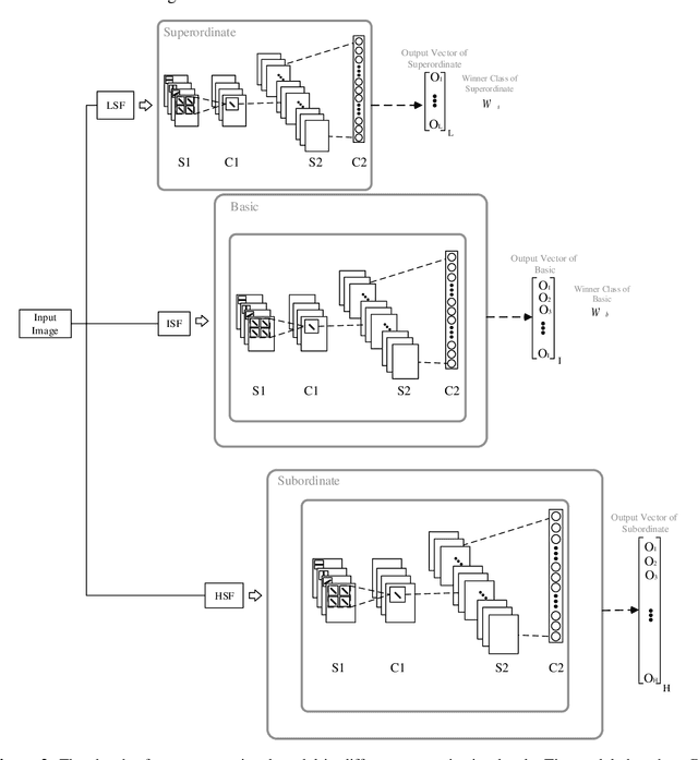 Figure 3 for Enhancing efficiency of object recognition in different categorization levels by reinforcement learning in modular spiking neural networks