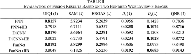 Figure 3 for An Inter- and Intra-Band Loss for Pansharpening Convolutional Neural Networks