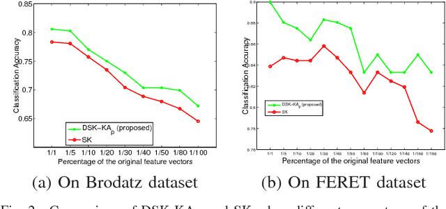 Figure 2 for Learning Discriminative Stein Kernel for SPD Matrices and Its Applications