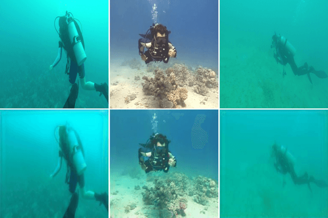 Figure 3 for A Generative Approach for Detection-driven Underwater Image Enhancement