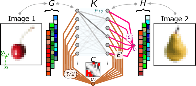 Figure 1 for Immiscible Color Flows in Optimal Transport Networks for Image Classification