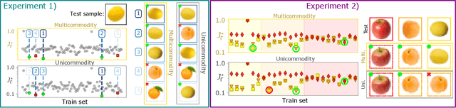 Figure 2 for Immiscible Color Flows in Optimal Transport Networks for Image Classification