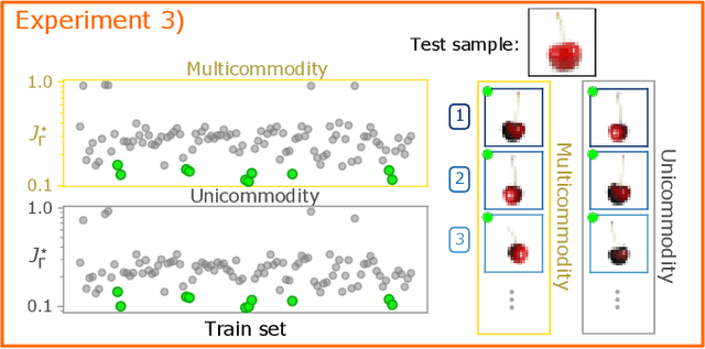 Figure 3 for Immiscible Color Flows in Optimal Transport Networks for Image Classification