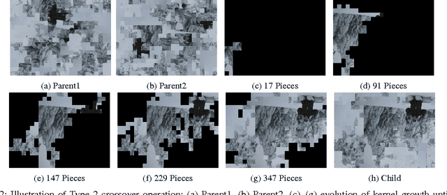 Figure 3 for A Generalized Genetic Algorithm-Based Solver for Very Large Jigsaw Puzzles of Complex Types