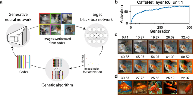 Figure 1 for Gradient-free activation maximization for identifying effective stimuli