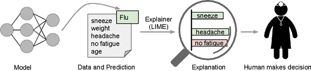 Figure 1 for "Why Should I Trust You?": Explaining the Predictions of Any Classifier