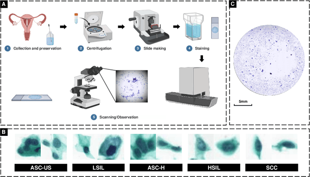 Figure 1 for Deep Learning for Computational Cytology: A Survey