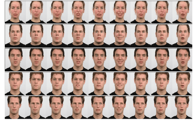 Figure 1 for Learn to synthesize and synthesize to learn