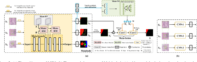 Figure 3 for Meta Segmentation Network for Ultra-Resolution Medical Images