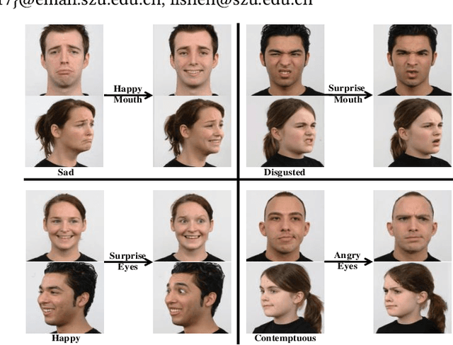 Figure 1 for Translate the Facial Regions You Like Using Region-Wise Normalization