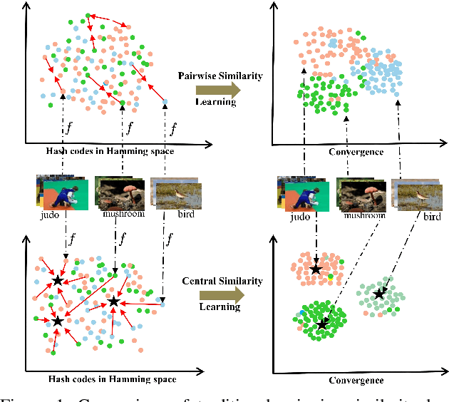 Figure 1 for Central Similarity Hashing via Hadamard matrix