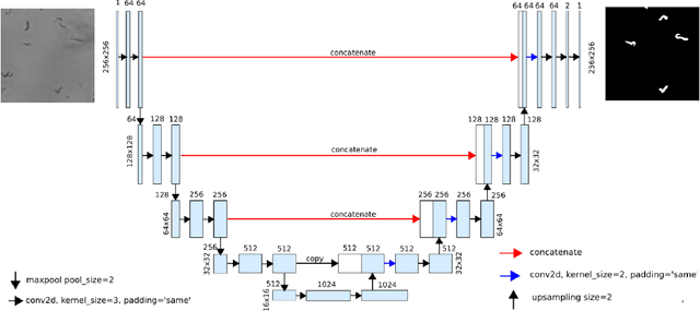 Figure 3 for Prediction of Tuberculosis using U-Net and segmentation techniques