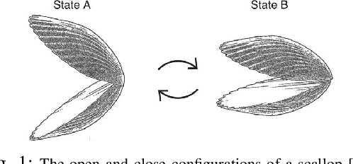 Figure 1 for A Lagrangian Model to Predict Microscallop Motion in non Newtonian Fluids