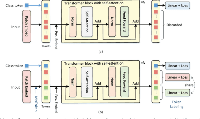 Figure 3 for Token Labeling: Training a 85.4% Top-1 Accuracy Vision Transformer with 56M Parameters on ImageNet