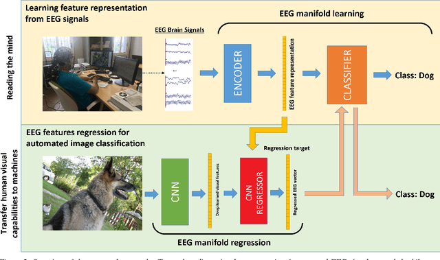 Figure 3 for Deep Learning Human Mind for Automated Visual Classification
