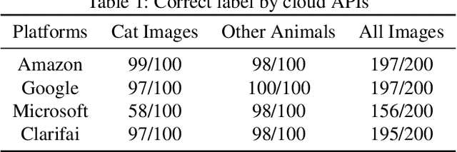 Figure 2 for Cloud-based Image Classification Service Is Not Robust To Simple Transformations: A Forgotten Battlefield