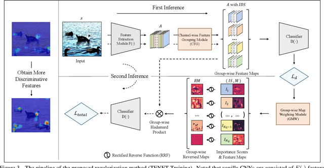 Figure 4 for Group-wise Inhibition based Feature Regularization for Robust Classification