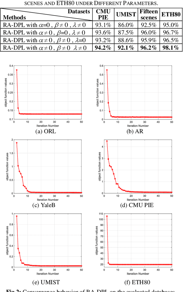 Figure 2 for Discriminative Local Sparse Representation by Robust Adaptive Dictionary Pair Learning